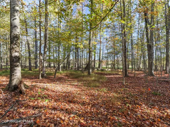 Cygnus Rd, Lake Ariel, PA 18436