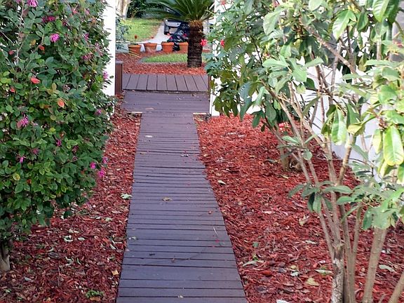 Walkway & garden 