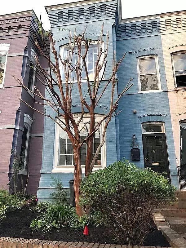 406 G St NE photo 1