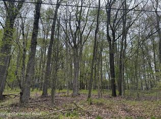 6 Paiute Path, Pocono Lake, PA 18347