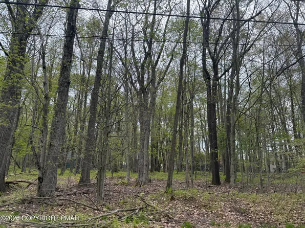 6 Paiute Path, Pocono Lake, PA 18347