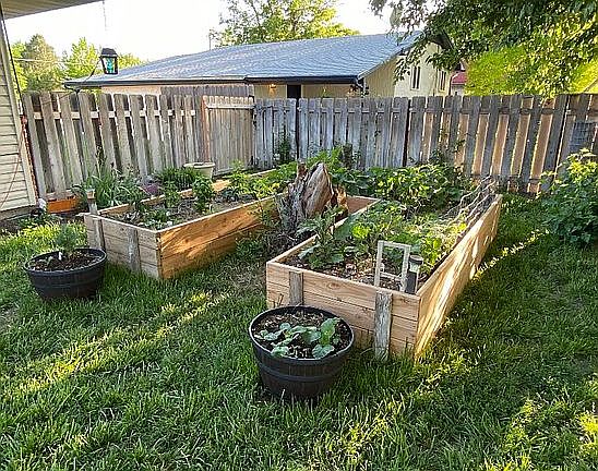 Raised bed garden!