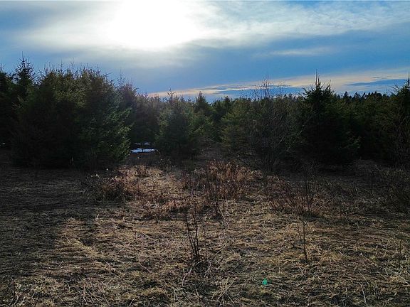 5th image of 6 Burrell Rd
