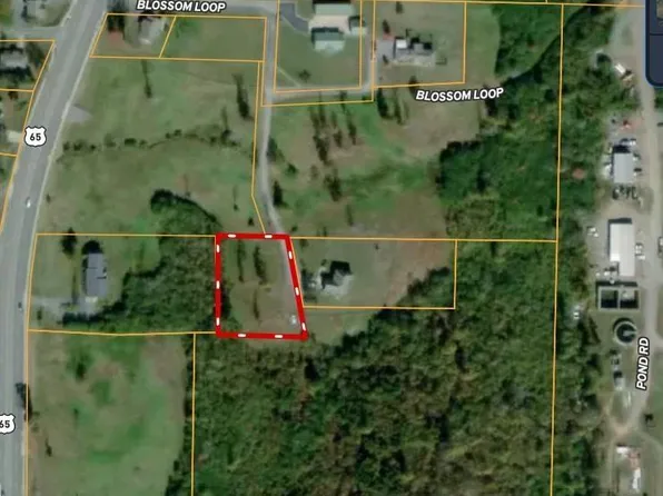 Blossom Rd, Clinton, AR 72031