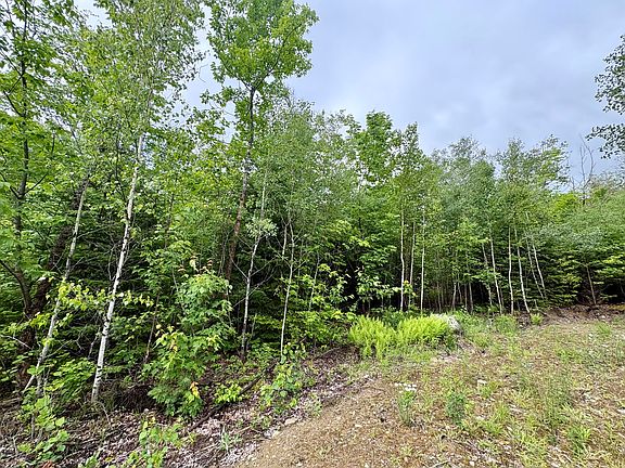 4th image of Lot 4 Mt. Jefferson Heights