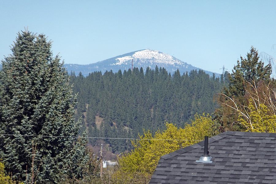 2nd image of 11719 E Jackson Ln