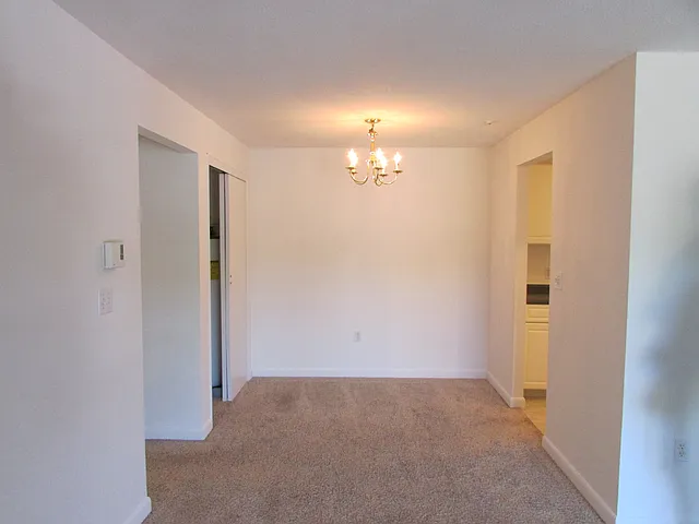 65 Elmwood Park #3 — Photo 16
