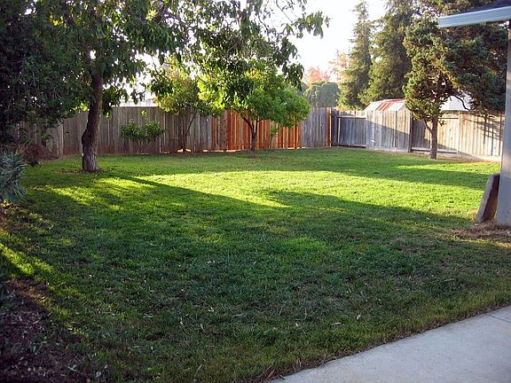 Huge backyard
