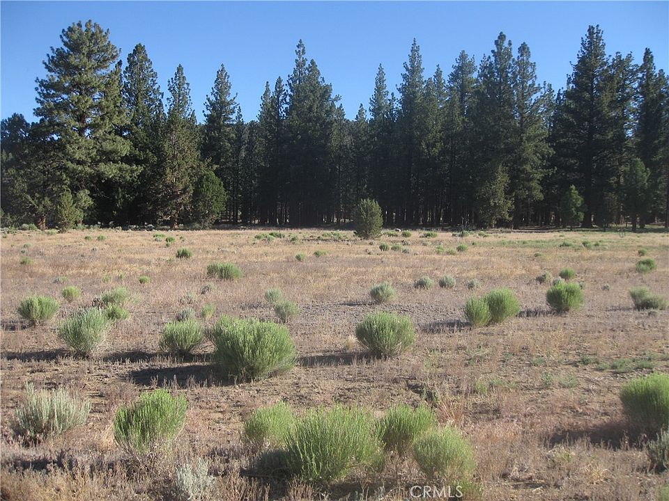 2nd image of 2818 Erwin Ranch Rd Lot 18