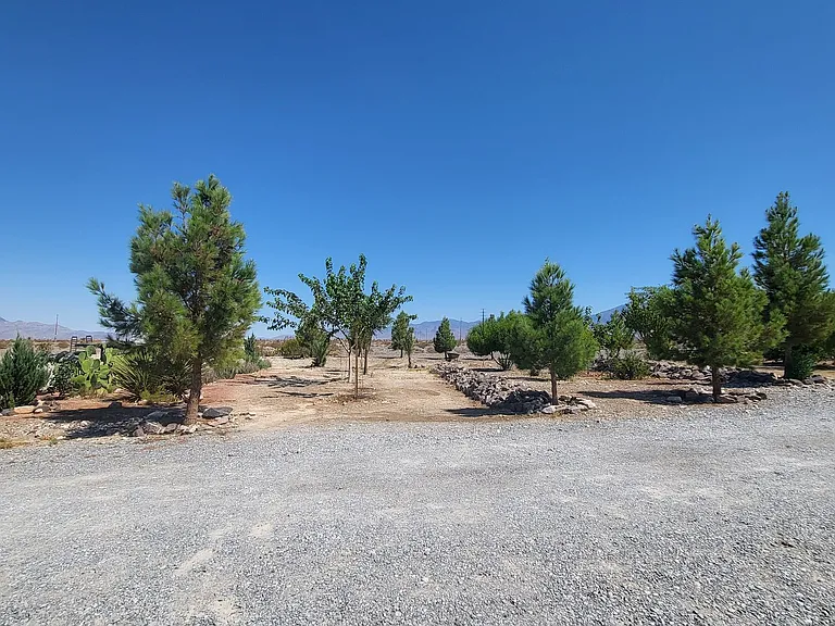 831 David Adam Rd — Photo 5