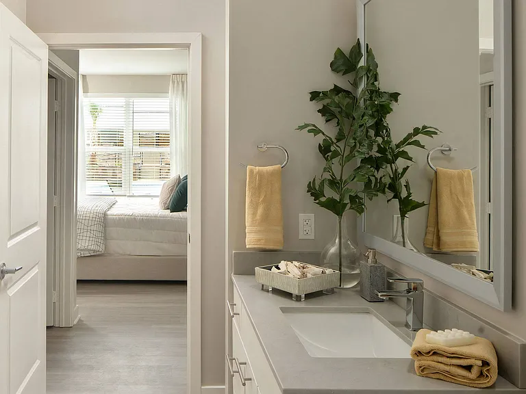 Contemporary Master Bathroom with Sleek Vanity and Modern Fixtures