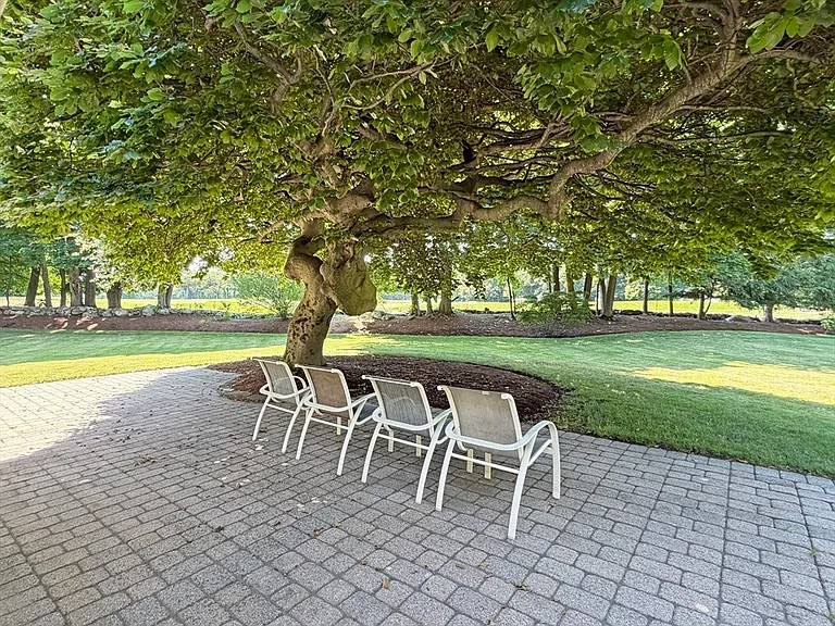 37 Stephen Pl — Photo 35