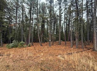 80 San Juan Dr, Angel Fire, NM 87710