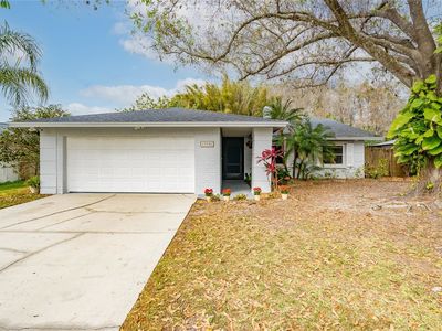 13908 Country Court Dr, Tampa, FL, 33625