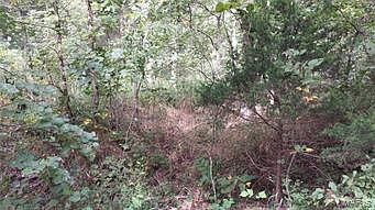 2nd image of 10/ACRE S Hawks Rd