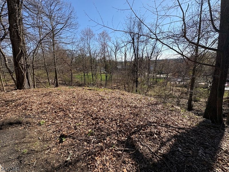 2nd image of 38 Dalewood Rd