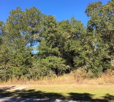 2nd image of 2095 W Ivorywood Dr