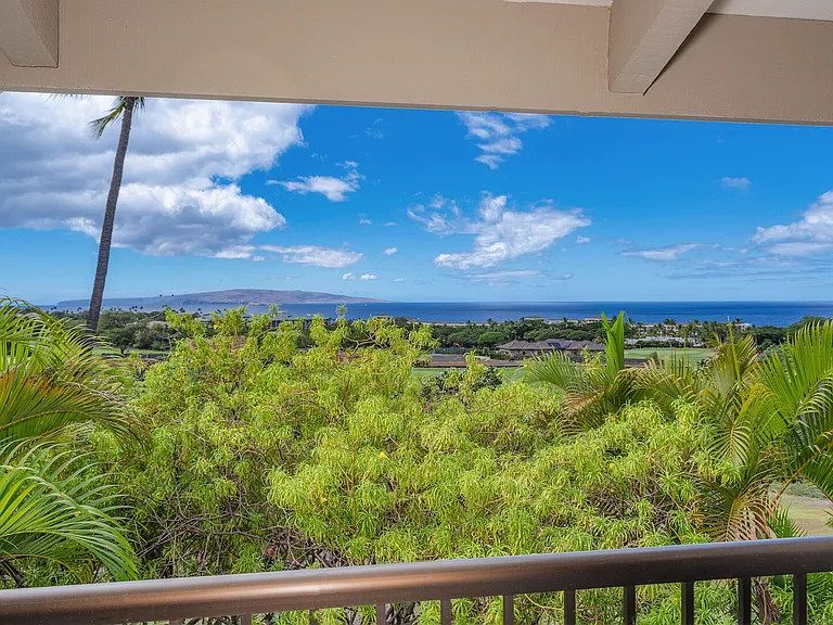Wailea Ekolu Pl — Photo 22