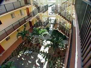 Beautiful Courtyard