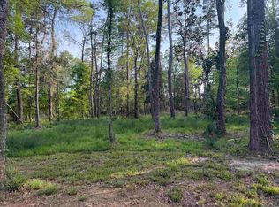 1-B Clinton Allen Rd #A, Denham Springs, LA 70706