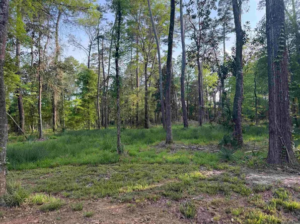 1-B Clinton Allen Rd #A, Denham Springs, LA 70706