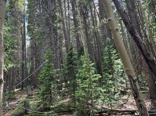 15 Long Rd, Idaho Springs, CO 80452