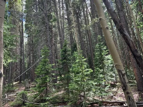 LOT 15 Long Road, Idaho Springs, CO 80452
