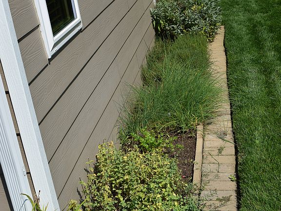Established herb garden