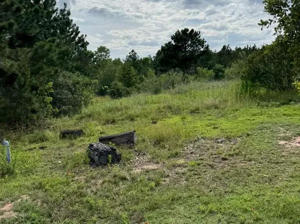109 Pintail Ln, Paige, TX 78659