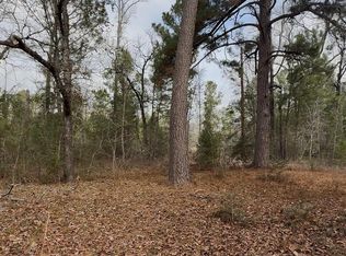 24159 Weeren Rd, Montgomery, TX 77316