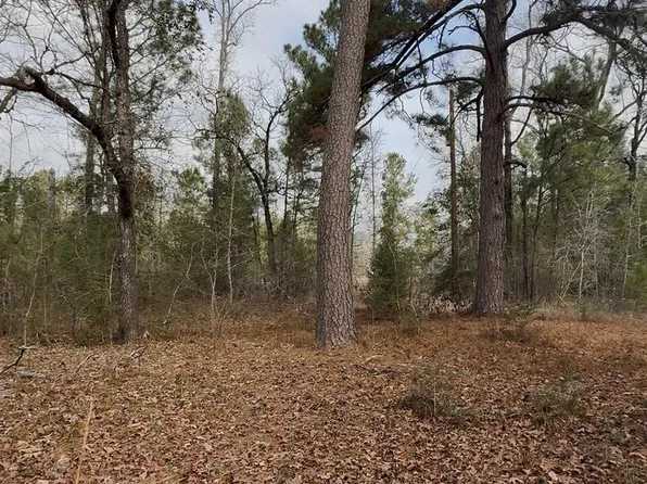 24159 Weeren Rd, Montgomery, TX 77316