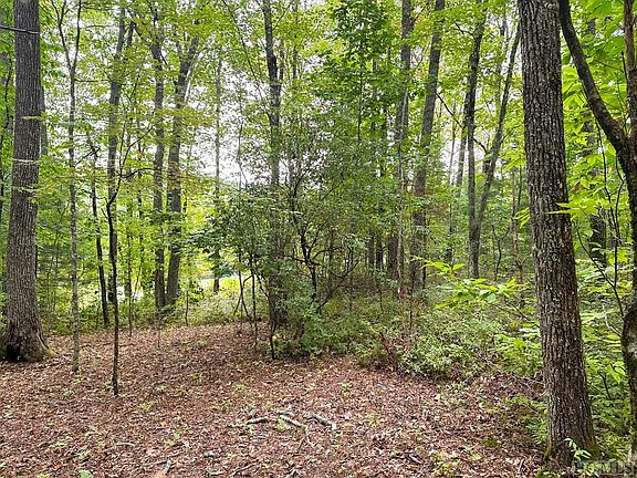 5th image of S-3 Ginhouse Creek Lane