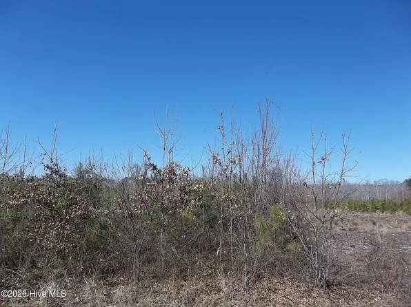 Boat Ramp Rd Lot 1, New Hope, NC 27944