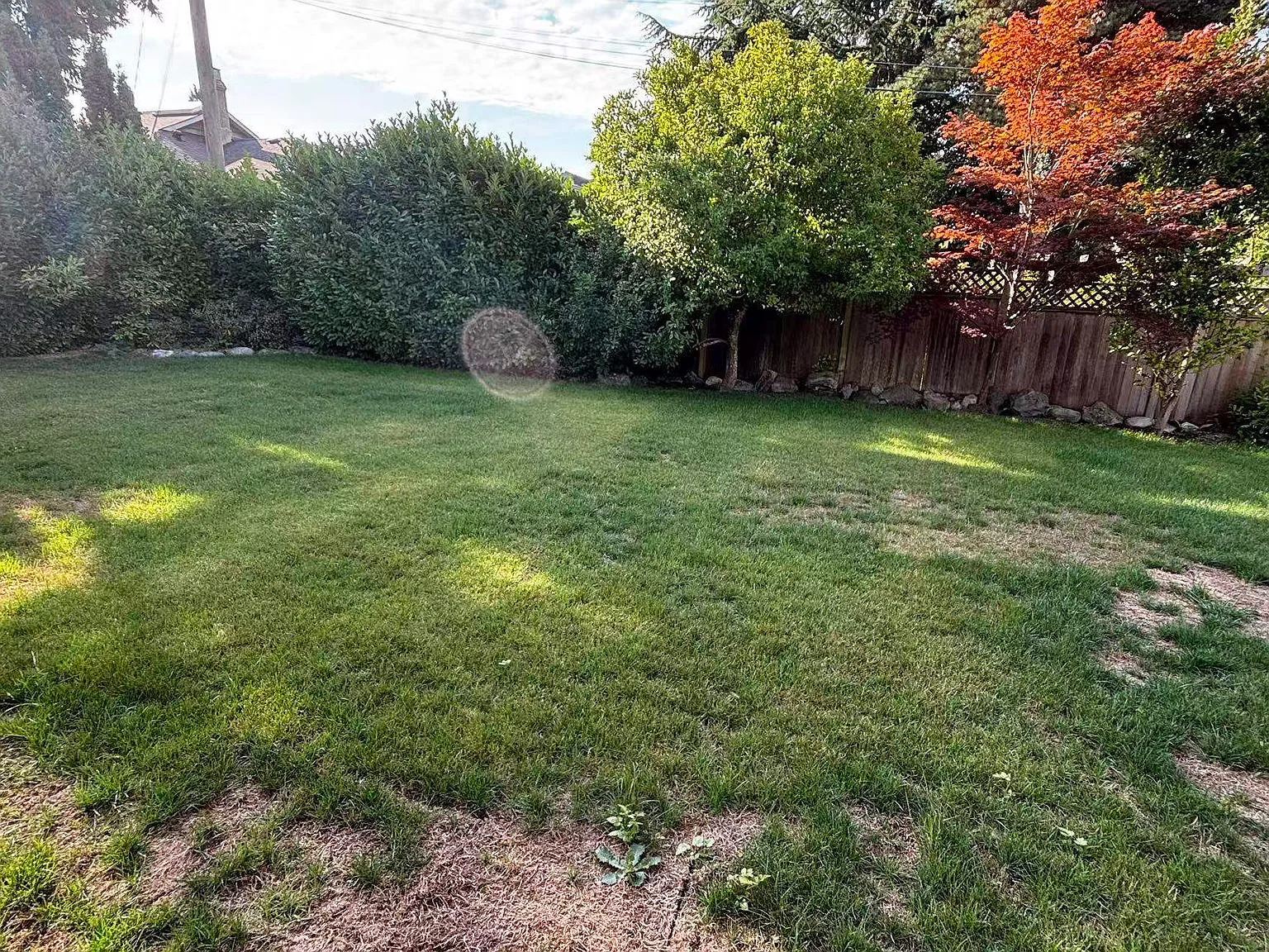 3 bed, 1780 sqft, $6,000 — Photo 2