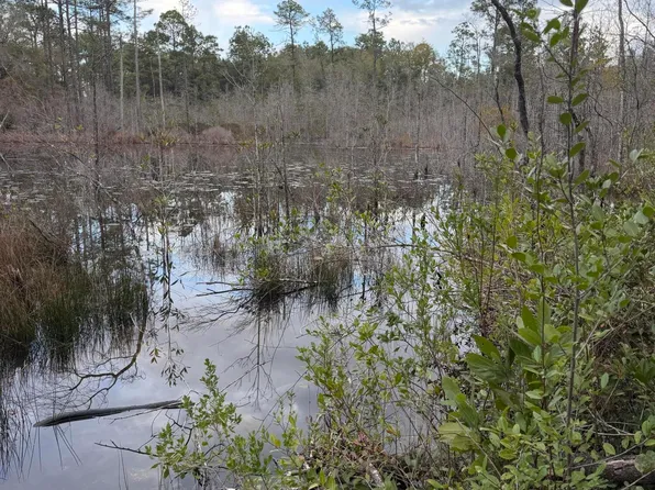 X Blue Ridge Blvd, Defuniak Springs, FL 32433