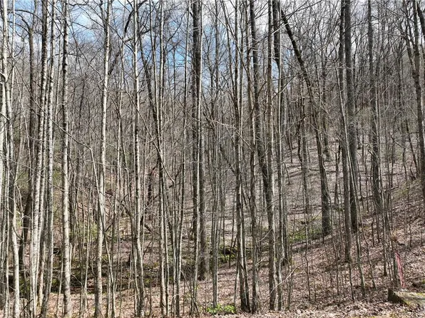 64 Saint Andrews Way, Ellijay, GA 30536