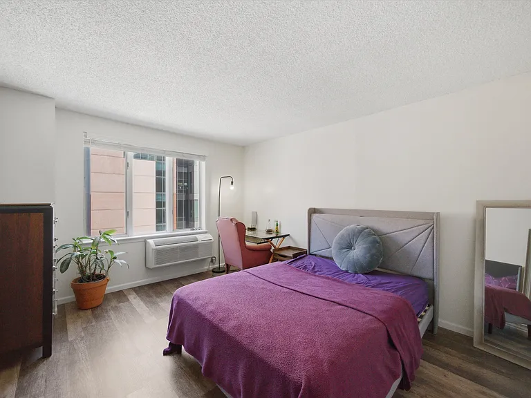801 S Plymouth Ct #713 — Photo 9