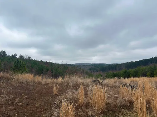 Tbd County Road C-230, Norwood, MO 65717