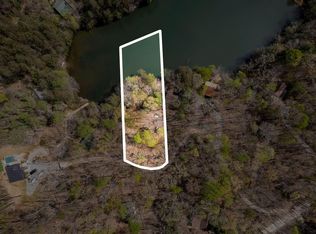 94 Cherry Lake Ct #60, Blue Ridge, GA 30513
