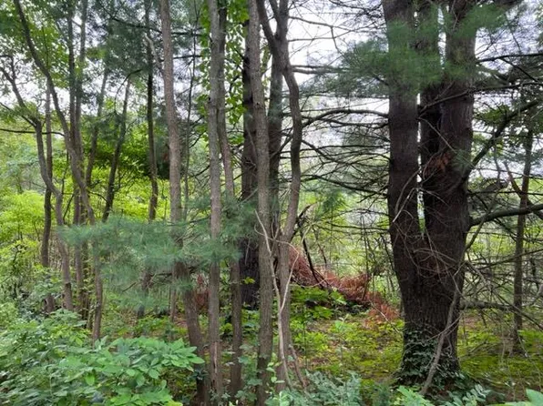 49933 2nd Ave, Grand Junction, MI 49056