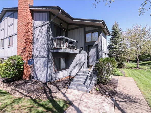 7085 Bristlewood Dr, Painesville, OH 44077