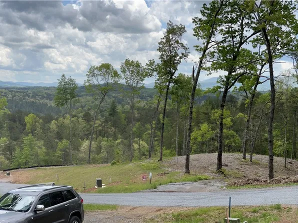 0 Mountain Laurel Ridge #7, Mineral Bluff, GA 30559