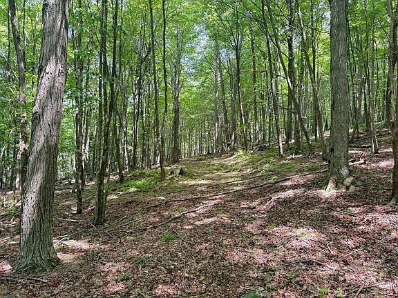 4th image of 0 Cole Hill Rd