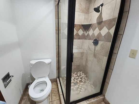 lower level bathroom