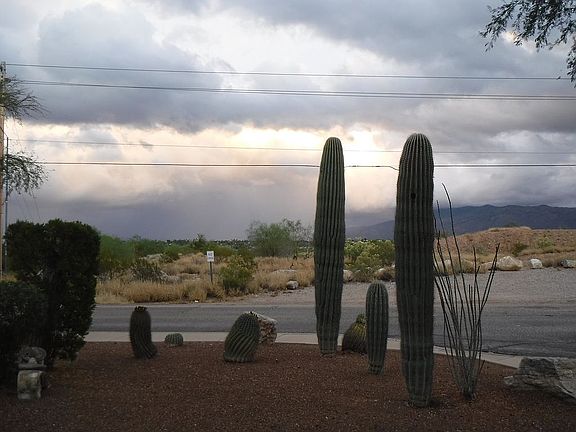 Miles of open land ,east & S