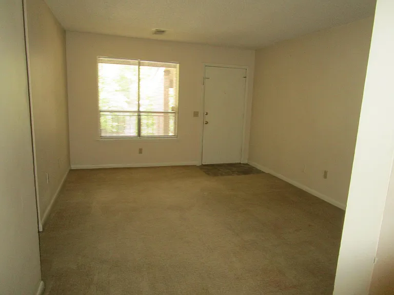 251 Rast St — Photo 13