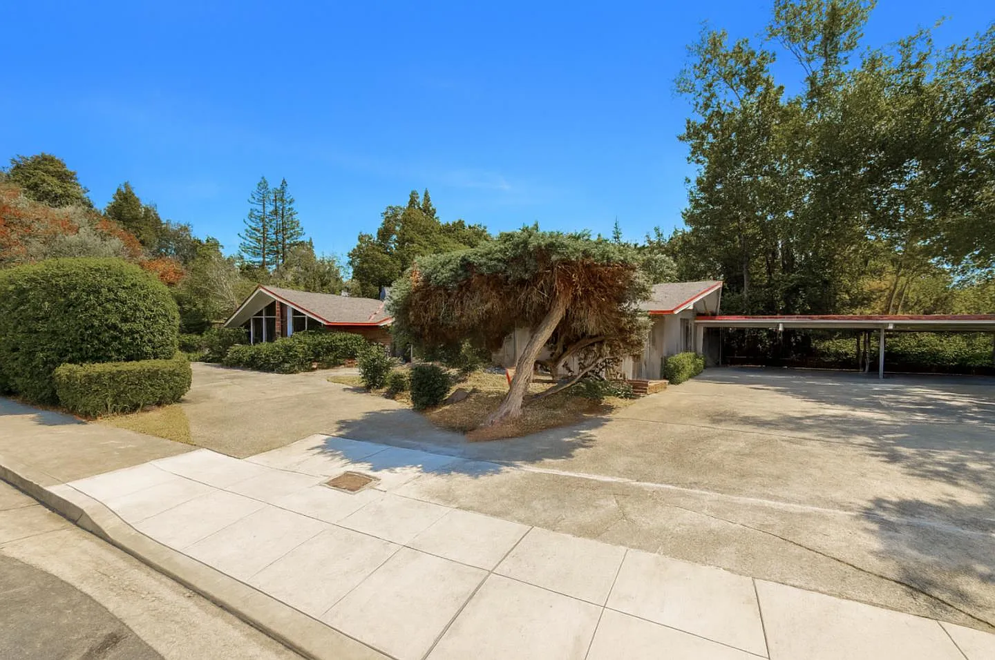2 Campo Bello Ln photo 1