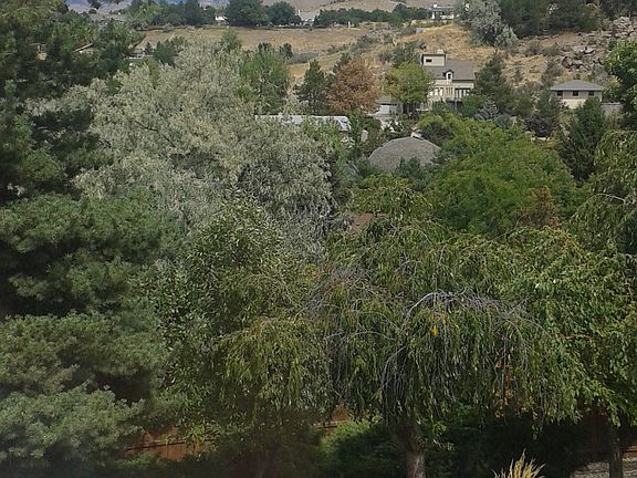 Foothill views