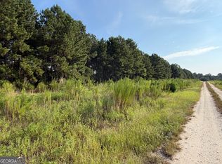 0 Highway 296, Stapleton, GA 30823