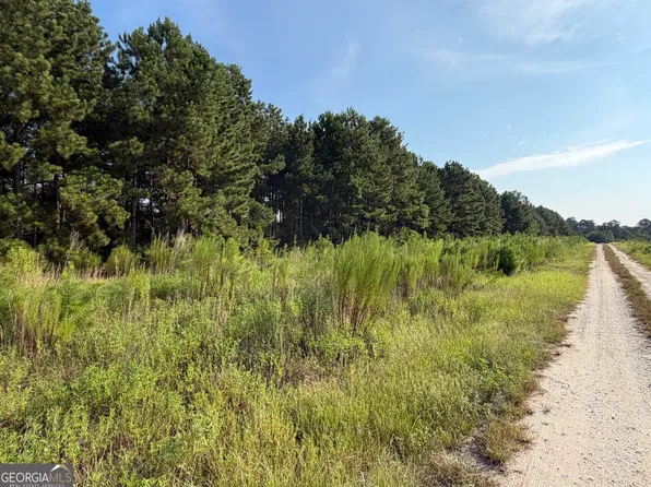 0 Highway 296, Stapleton, GA 30823